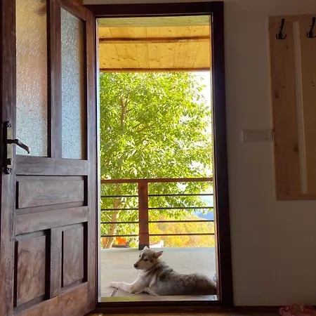 Сasa de vacaciones Planinska Kuca Zavet