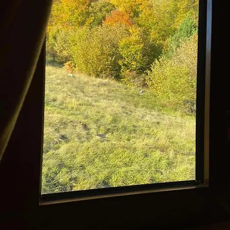 Сasa de vacaciones Planinska Kuca Zavet Timotijevici